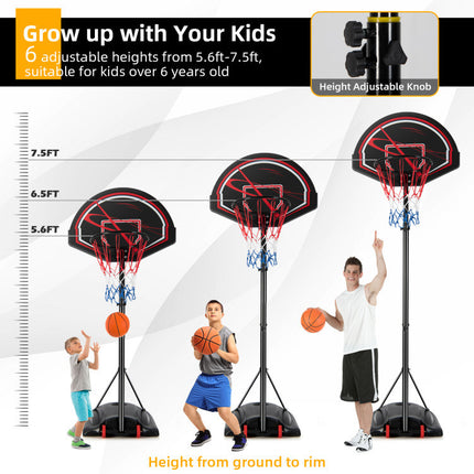 BG10- Portable Basketball Hoop Stand with Wheels and 2 Nets - Likeshoppe 